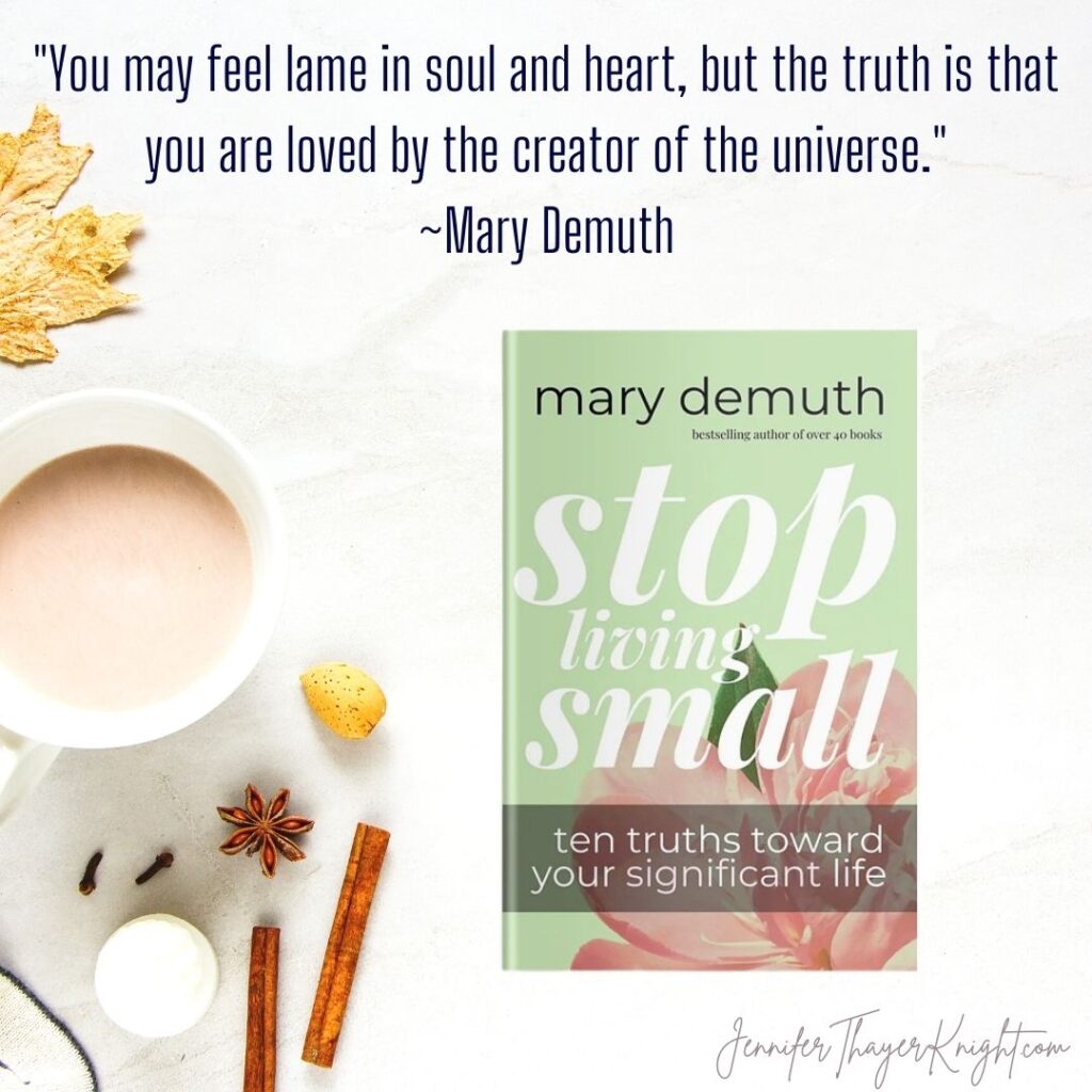 Stop Living Small by Mary Demuth