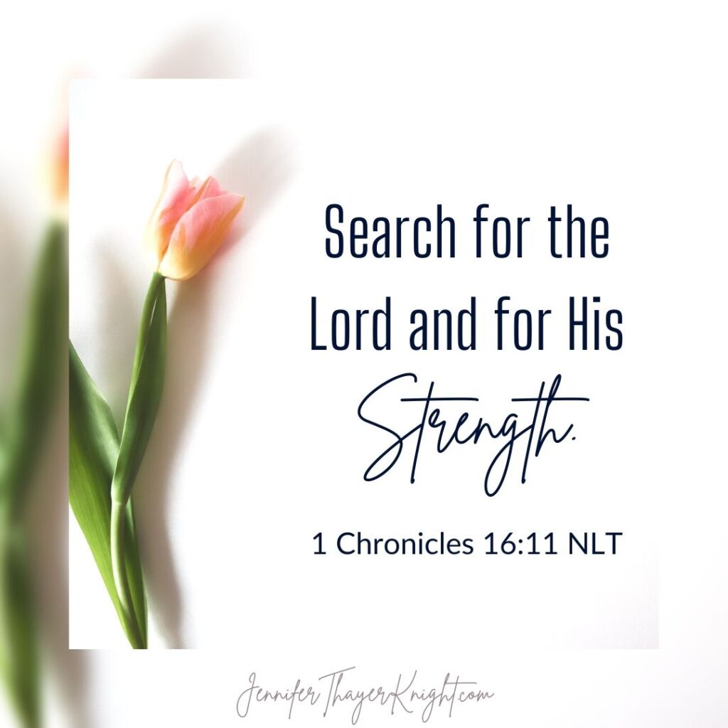 Search for the Lord