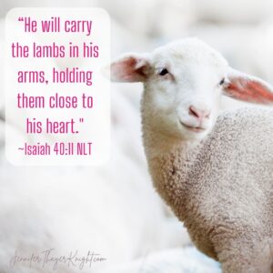 Lamb with scripture