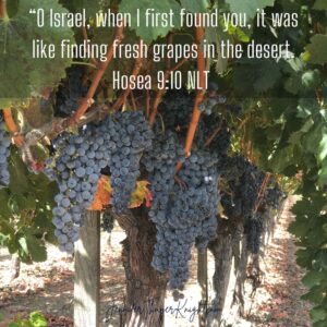“O Israel, when I first found you, it was like finding fresh grapes in the desert. Hosea 1:9