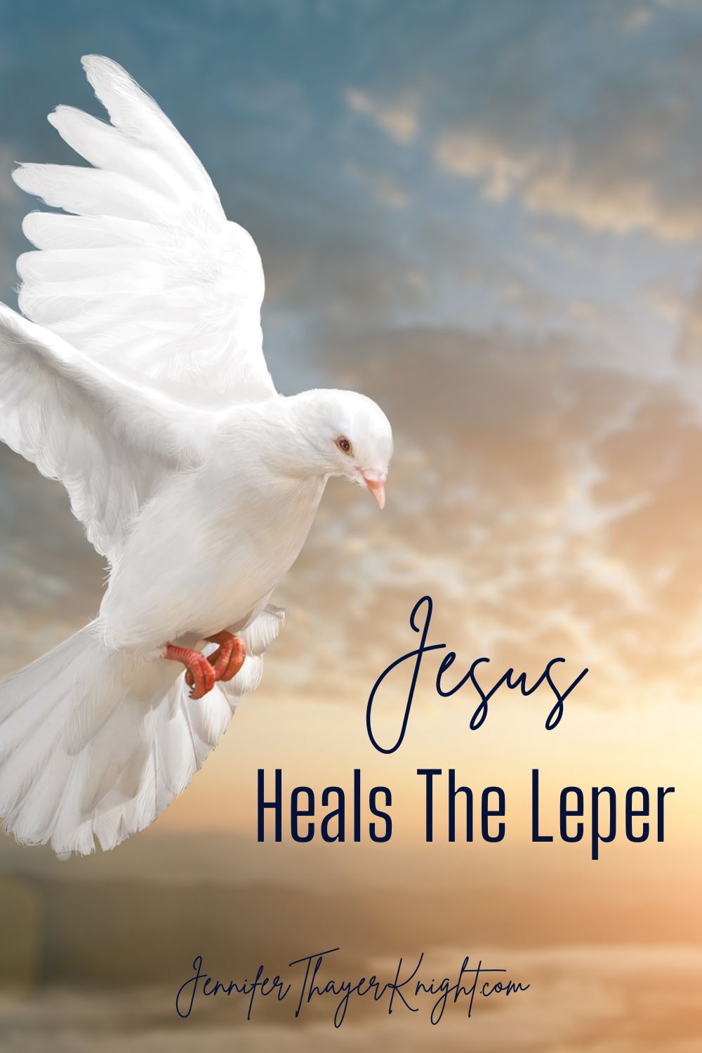 Jesus Heals The Leper