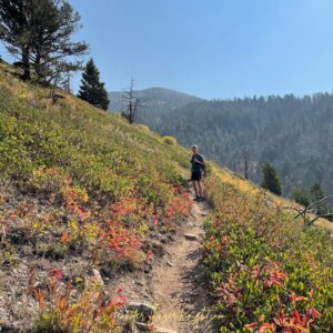 hiking in montana