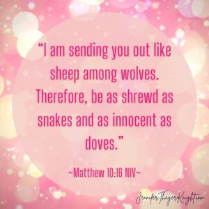 Matthew 10:16 NIV