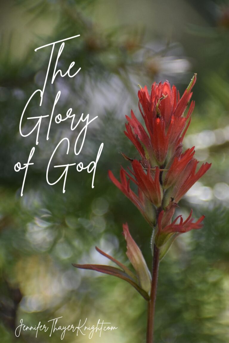 The Glory Of God
