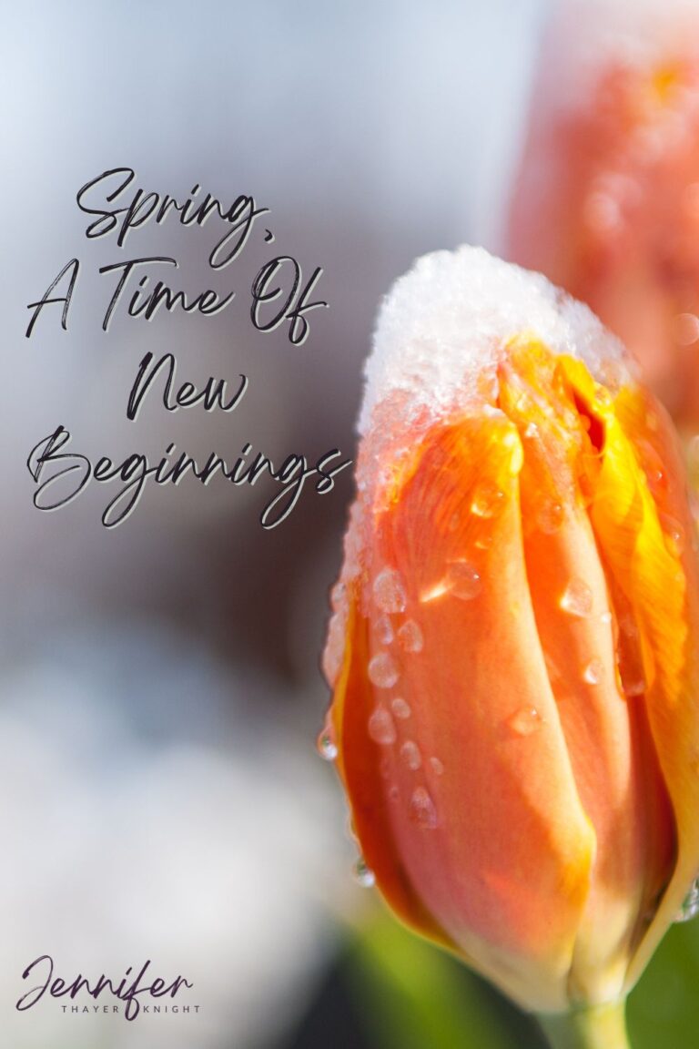 Spring, A Time Of New Beginnings