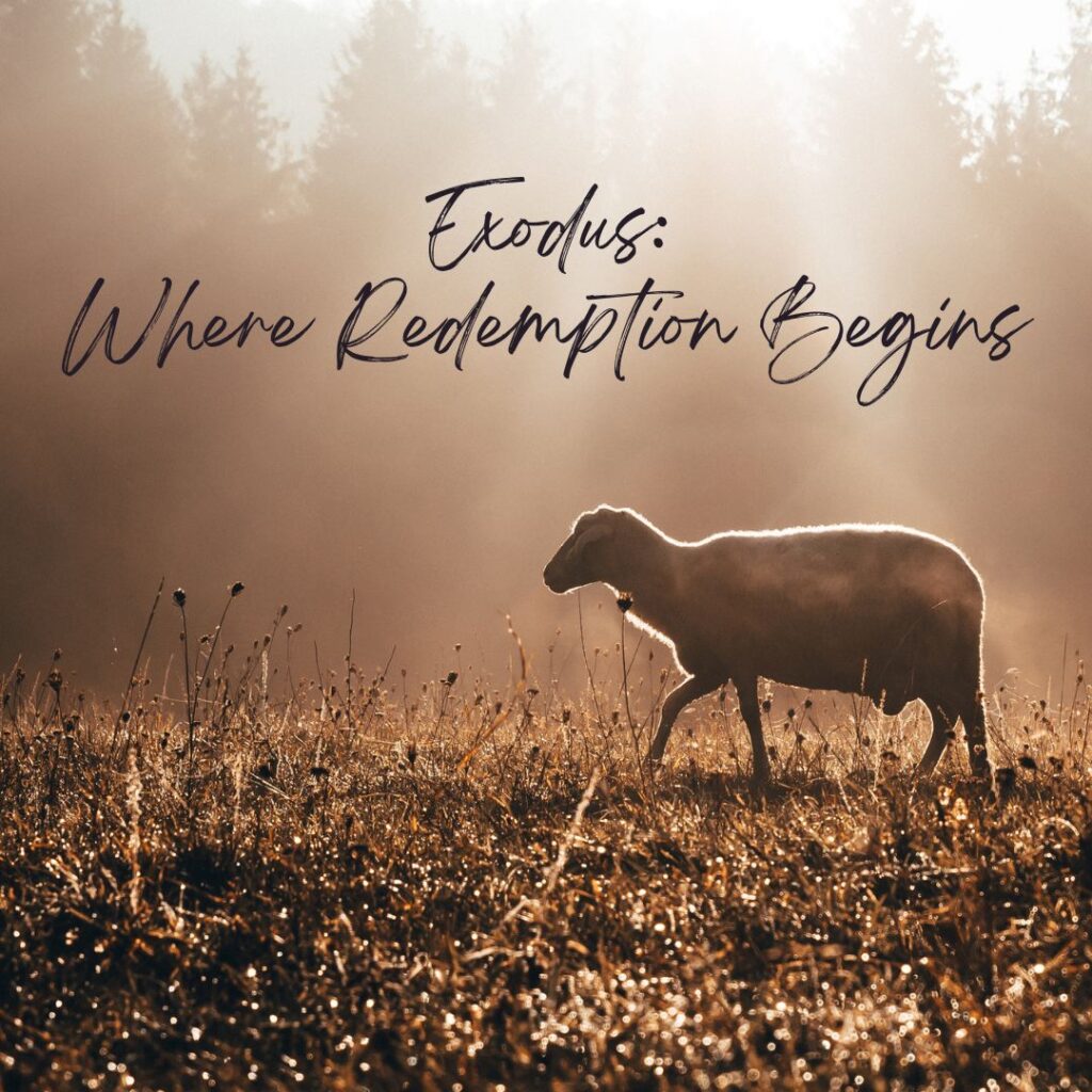 Exodus: Where Redemption Begins