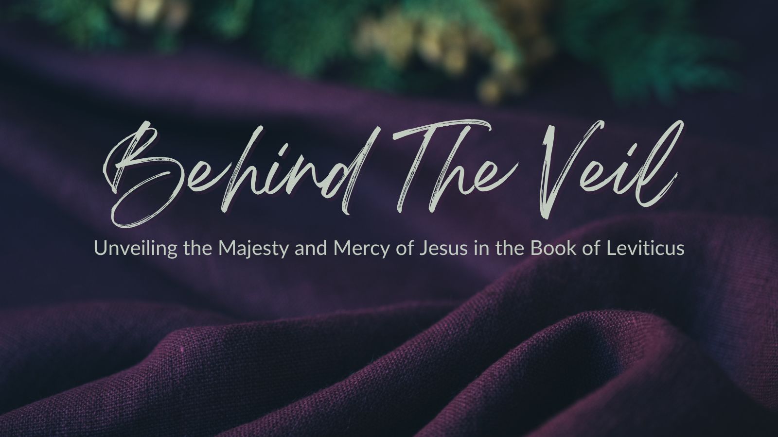 Behind the Veil - A study on the book of Leviticus.