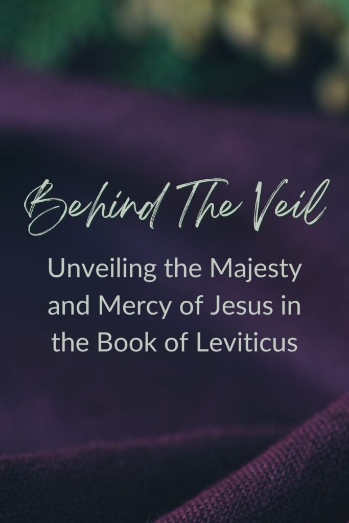 Behind The Veil - a study on Leviticus